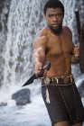 T'Challa / Black Panther