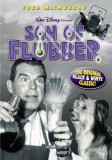 Son Of Flubber